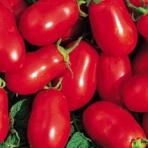 Roma Tomatoes